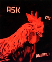 https://www.andreasleikauf.net:443/files/gimgs/th-19_ask an animal.jpg